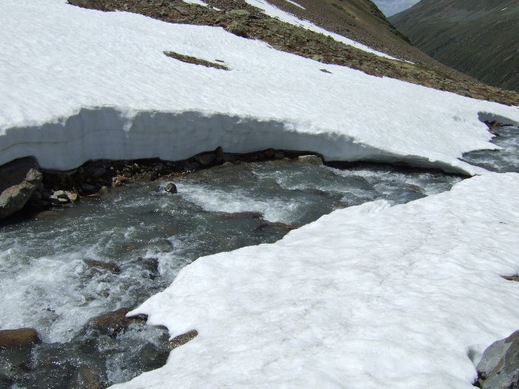 Di passo in passo...